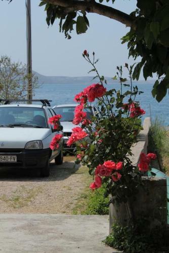 Apartment Metajna 6466h