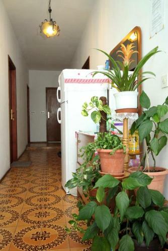 Apartment Zubovici 4082a