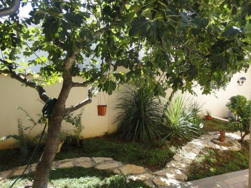 Hostal Apartments Antovesa