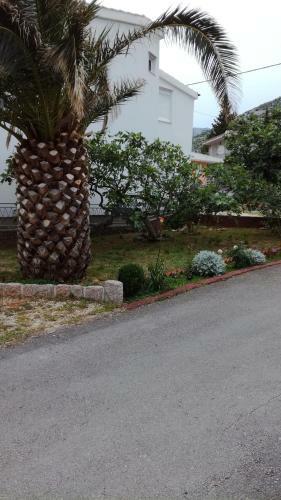 Apartments Vila Vera