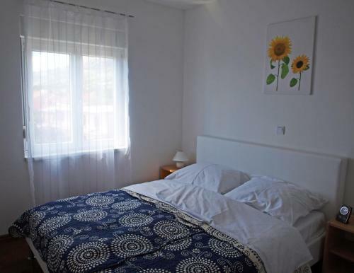 Apartments Nova