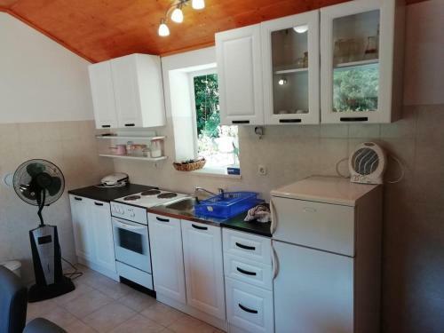 Apartments With A Parking Space Luka (peljesac) - 16229