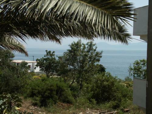 Apartments By The Sea Sucuraj (Hvar) - 578