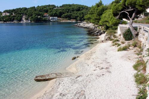Apartments By The Sea Sumartin (brac) - 5615