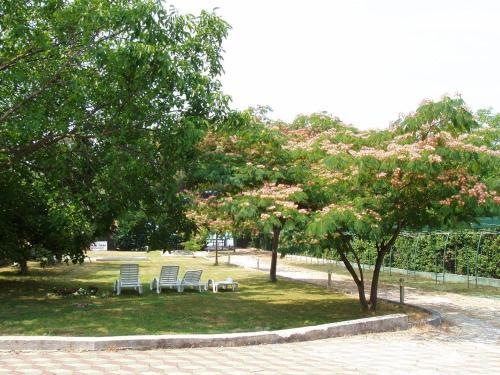 Apartment Sveti Filip I Jakov 14319b