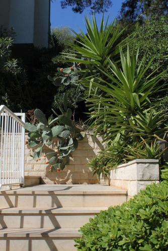 Apartment Pasadur 8337e