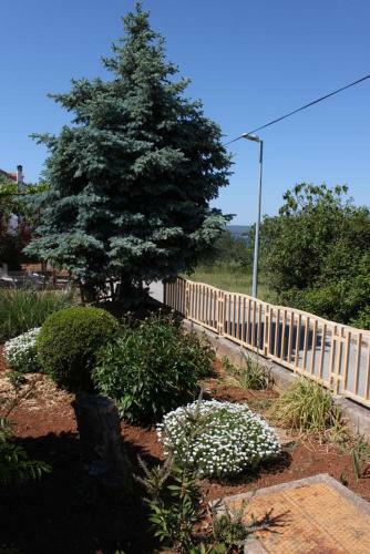 Apartments By The Sea Tkon (pasman) - 6221