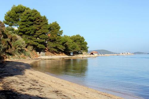 Apartment Tkon 5840a