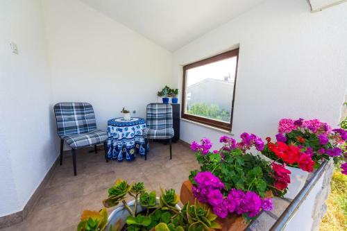 Apartment Tkon 12346b