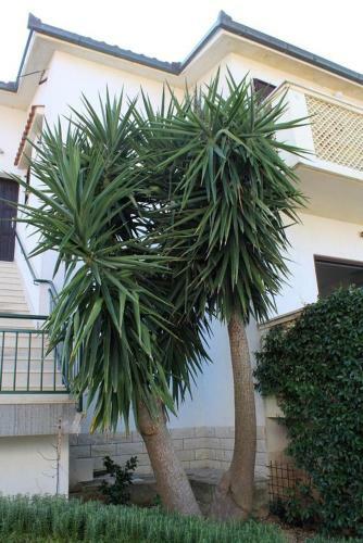Apartamentos Studio Slatine 9453b