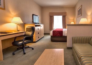 Hotel Comfort Inn & Suites Airport