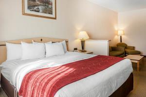 Hotel Comfort Inn & Suites Airport