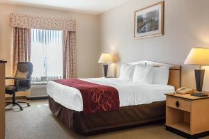Hotel Comfort Inn & Suites Airport