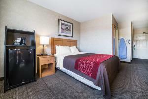 Hotel Comfort Inn