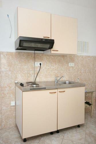 Apartment Mastrinka 4647b
