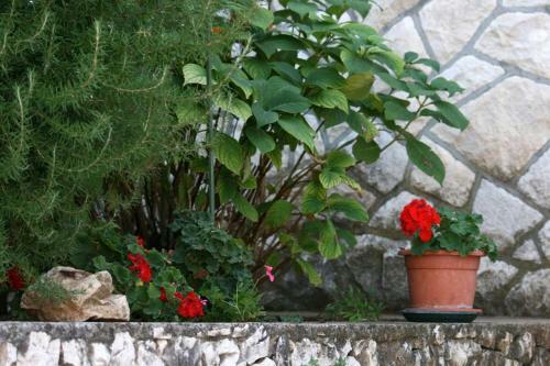 Apartment Mastrinka 4647b