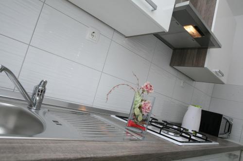 Apartment Roko