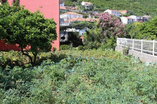 Apartments With A Parking Space Trpanj (Peljesac) - 10148