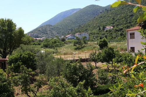 Apartment Trpanj 10148c