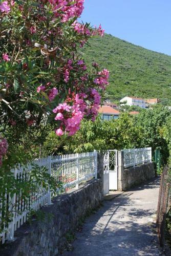 Apartment Trpanj 10148c