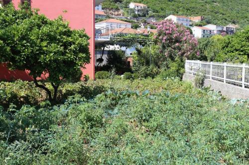 Apartment Trpanj 10148b