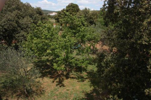 Apartments With A Parking Space Turanj (biograd) - 6197