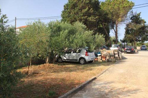 Apartment Ugljan 8304b