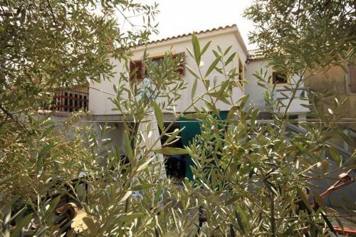 Apartment Susica 8467b