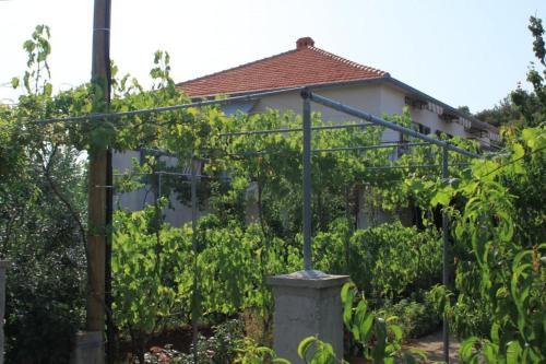 Apartment Ugljan 8264a