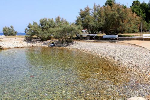Apartments By The Sea Ugljan - 13764
