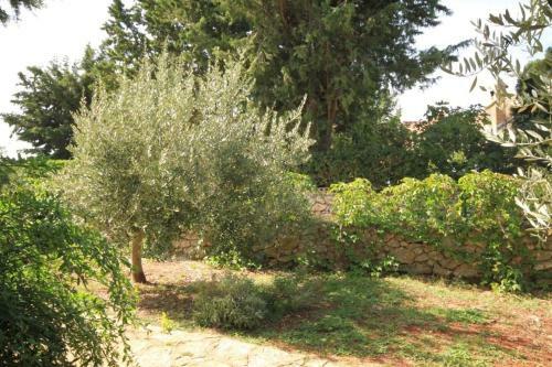 Apartamentos Studio Ugljan 8241a