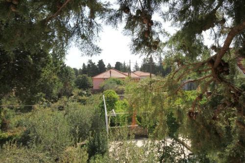 Apartments With A Parking Space Ugljan - 8241