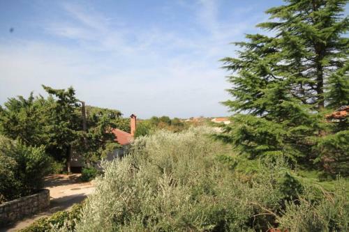 Apartments With A Parking Space Ugljan - 8241