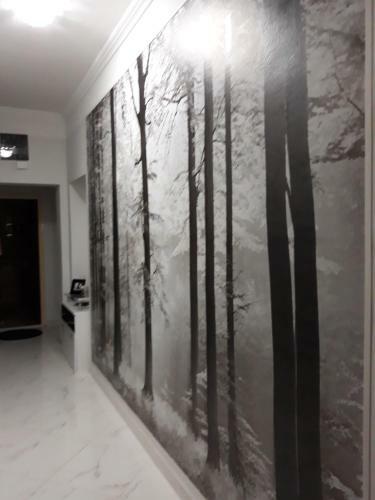 Apartamentos Paris 3