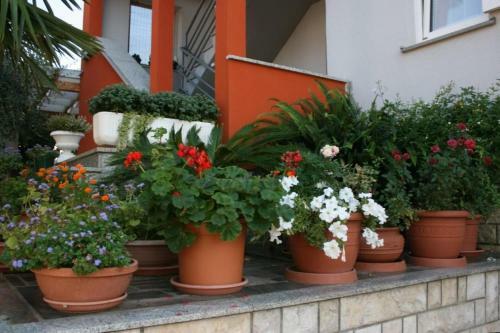 Apartamentos Studio Umag 2490a
