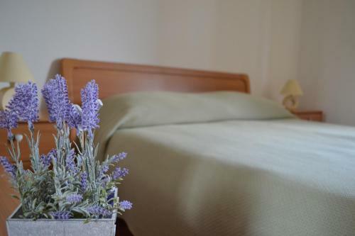 Apartamentos App Oleander