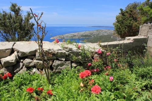 Holiday House Neretva Delta - Ustrine (cres) - 8037