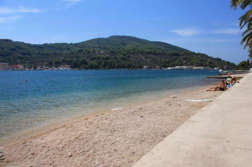 Apartment Vela Luka 4449c