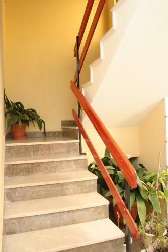 Apartment Vela Luka 4449c
