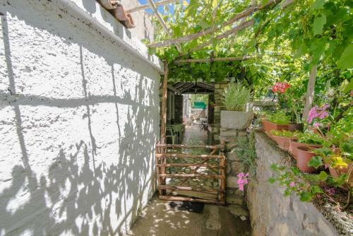 Apartamentos Loredana 2
