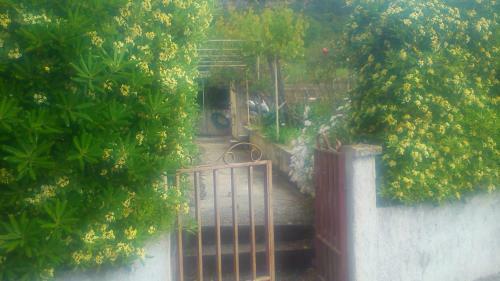 House Viganj (825)