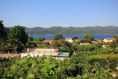 Apartments With A Parking Space Viganj (peljesac) - 10188