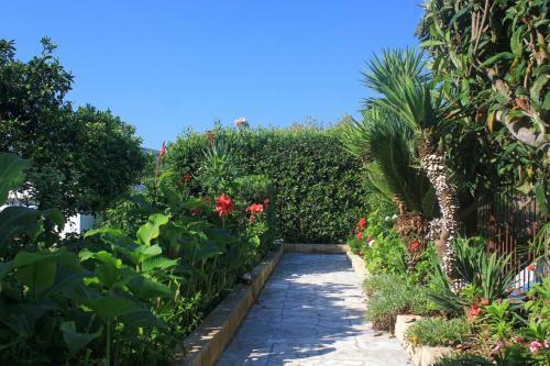 Apartments With A Parking Space Viganj (peljesac) - 10188