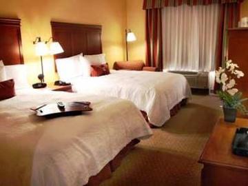 Hotel Hampton Inn & Suites - Burbank Airport