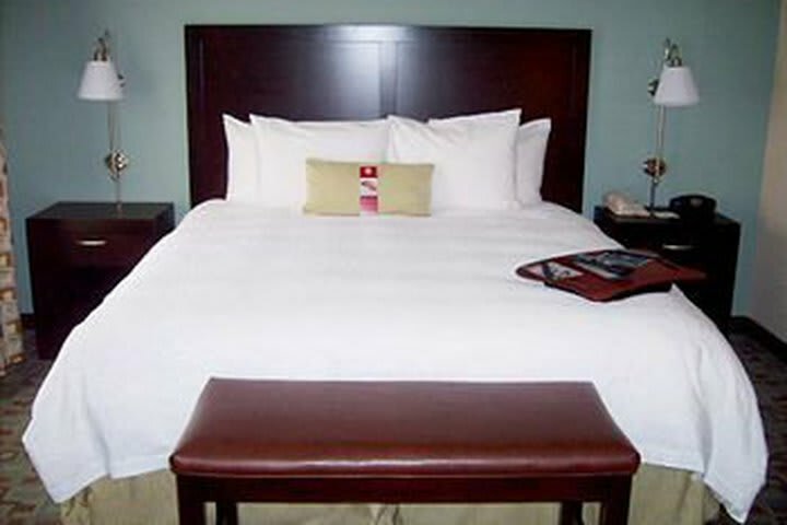Hotel Hampton Inn And Suites Savannah-airport