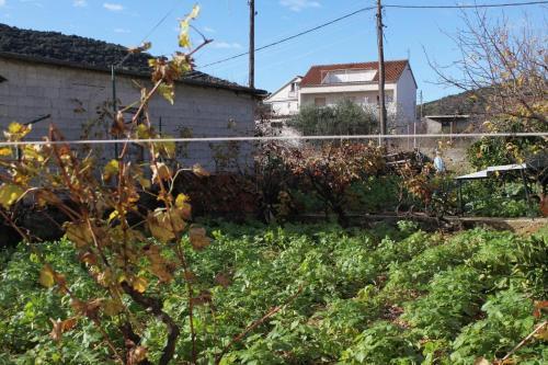 Family Friendly Seaside Apartments Vinisce (Trogir) - 5946
