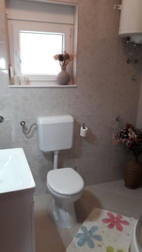 Apartment Branka