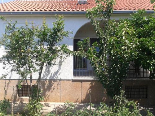 Apartments By The Sea Vinisce (trogir) - 13775