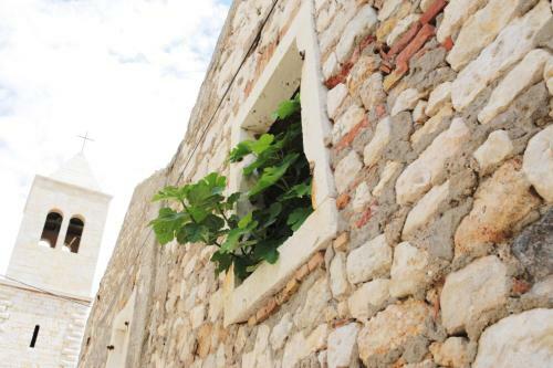 Apartments Tamarix