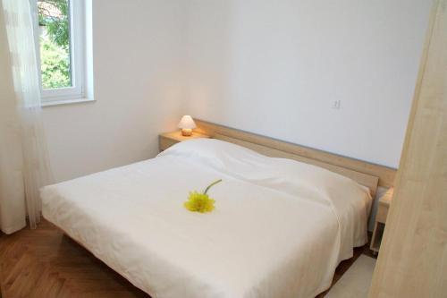 Apartment Vinjerac 3093h